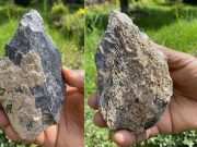 Doğu Afrika’da eski insanlara ait, kemikten yapılmış bir el baltası bulundu