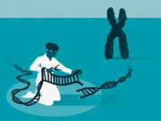 CRISPR, hastalıkların tedavisinde doğrudan kullanılabilir mi?
