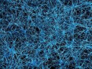 Alzheimer’a karşı potansiyel bir tedavi yolda mı?