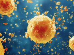 Domuz gribi aşısıyla ilgili yanlışlar ve doğrular