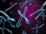 Kromozom dışı DNA’lar (ekstrakromozomal DNA) kanserleşme ile ilişkili mi?