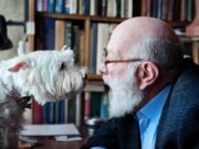 Köpekler gerçek konuşmayla anlamsız sözler ve diller arasındaki farkları ayırt edebiliyor