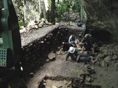 Avrupa’nın ilk Homo sapiens’ine ait kanıt Fransa’da bir mağarada bulunmuş olabilir