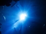 “Alacakaranlık Kuşağı” iklim değişikliği riski altında