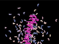 Yapay zeka araçları tıbbı dönüştürebilecek tamamen yeni proteinler tasarlıyor