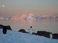 Dünyamız ısınırken kutupları daha kötü günler bekliyor