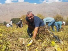 ‘Maçoğlu meselesi’