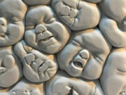 Düşmanlar, hainler ve bit yavruları