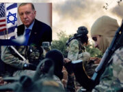 Erdoğan iktidarı, Türkiye iktidarı mı?