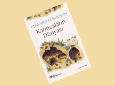 Gezegenimiz minik adımlarla bezeli: Karıncaların Dünyası