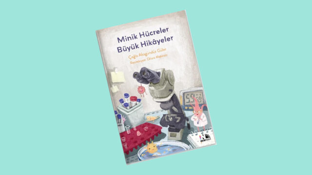minik hücreler